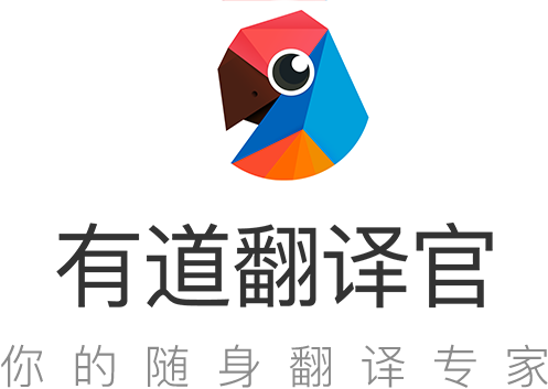 有道翻译支持翻译捷克语的文学名著片段吗？