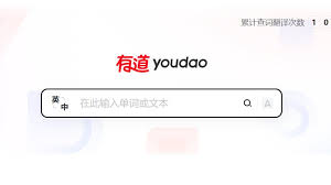 有道翻译能翻译扫描歪斜的纸质文档吗？